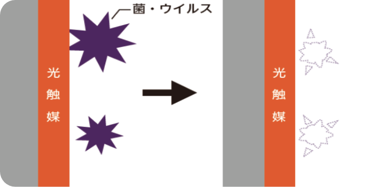 抗菌・抗ウイルス カビ抵抗性